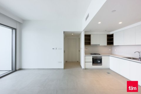 Appartement de 1 chambre à Downtown Dubai (Downtown Burj Dubai), UAE No. 222267 6