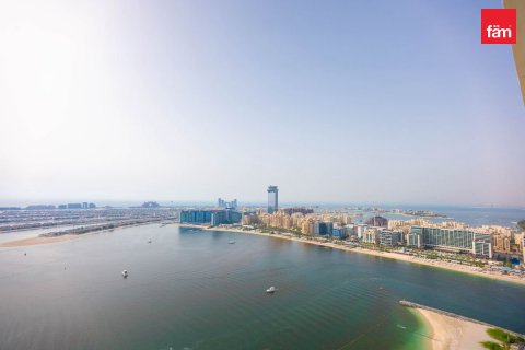 Appartement de 3 chambres à Dubai Harbour, UAE No. 220155 12