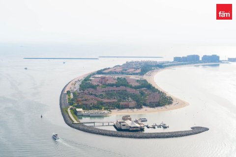 Appartement de 3 chambres à Dubai Harbour, UAE No. 220155 14