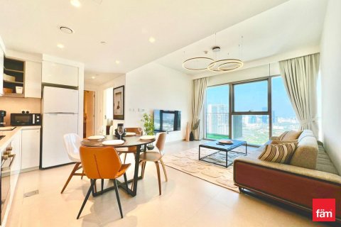 1 bedroom Apartment in Downtown Dubai (Downtown Burj Dubai), UAE No. 159790 17