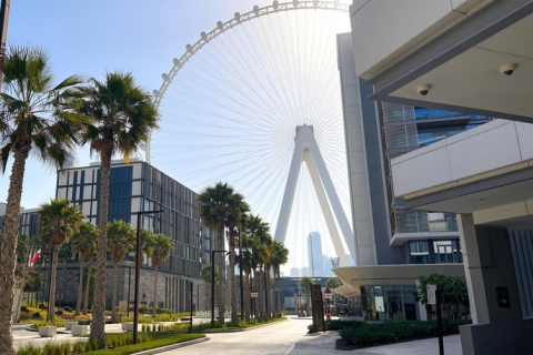 3 bedrooms Apartment in Bluewaters, UAE No. 183462 14