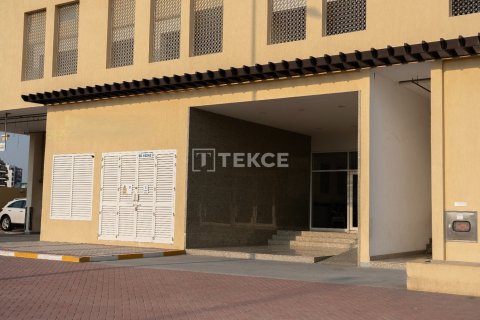 2 bedrooms Apartment in Al Warsan, UAE No. 166356 7