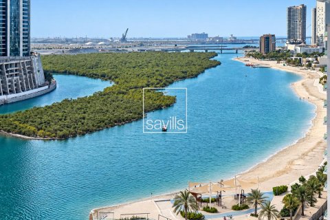 Квартира с 1 спальней в Shams Abu Dhabi, ОАЭ №214118 4