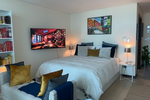 Studio Apartment in DIFC, UAE No. 217207