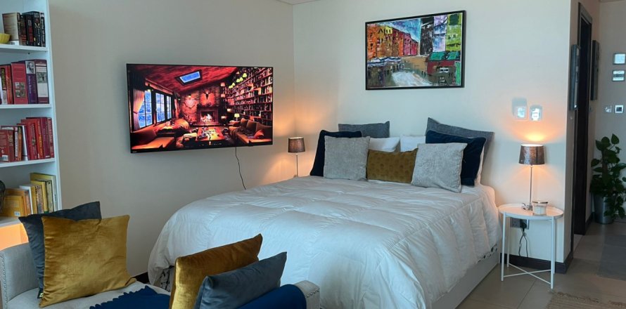 Studio Apartment in DIFC, UAE No. 217207