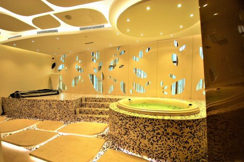 4 bedrooms Penthouse in Damac Heights, UAE No. 223392 13
