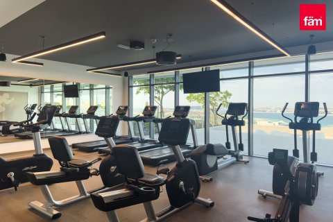 Apartment de 1 dormitorio en Dubai Harbour, UAE No. 155063 24