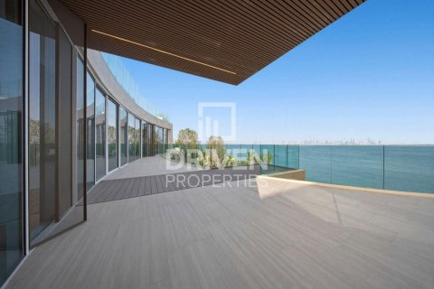 6 bedrooms Villa in The World Islands, UAE No. 212569 30