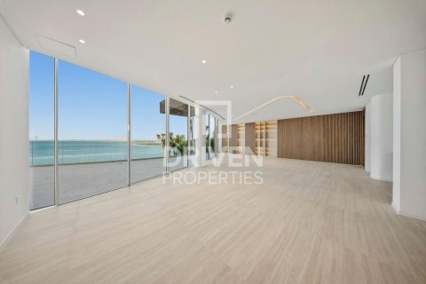 6 bedrooms Villa in The World Islands, UAE No. 212569 14