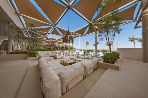 6 bedrooms Villa in The World Islands, UAE No. 212569 24