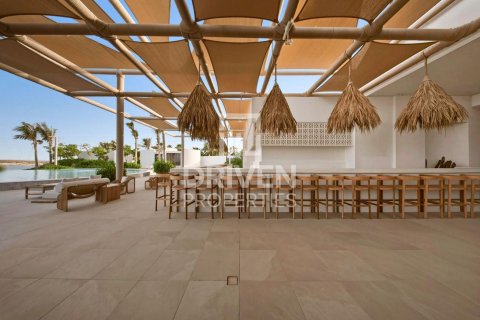 6 bedrooms Villa in The World Islands, UAE No. 212569 23
