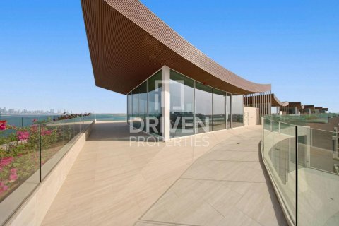 6 bedrooms Villa in The World Islands, UAE No. 212569 27