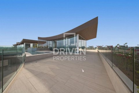 6 bedrooms Villa in The World Islands, UAE No. 212569 31