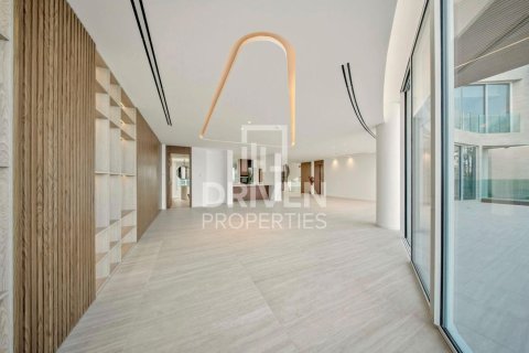 6 bedrooms Villa in The World Islands, UAE No. 212569 16