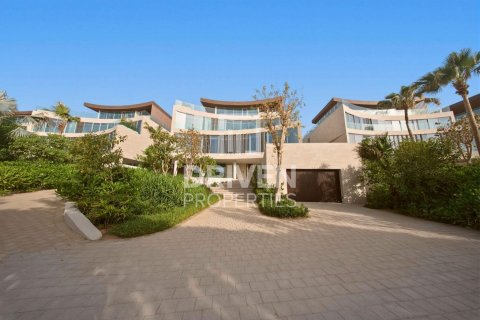 6 bedrooms Villa in The World Islands, UAE No. 212569 25