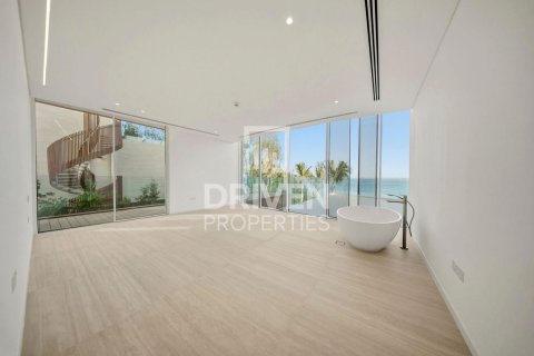 6 bedrooms Villa in The World Islands, UAE No. 212569 6