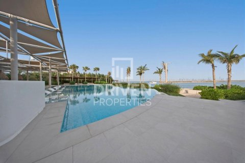 6 bedrooms Villa in The World Islands, UAE No. 212569 3