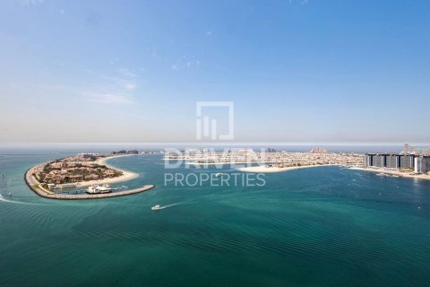 4 غرف نوم شقة في EMAAR Beachfront, الإمارات العربية المتحدة رقم 215066 7