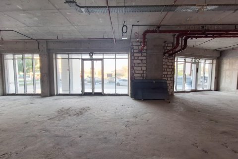 Commercial property de 370.7m² à Phase 2, UAE No. 47647 7