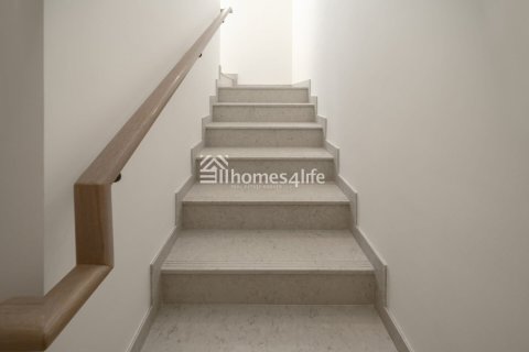 3 bedrooms Villa in Mudon, UAE No. 167709 8