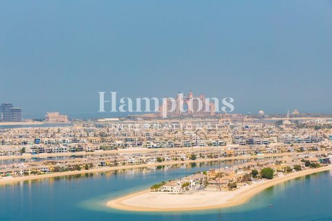 Apartment de 1 dormitorio en Dubai Harbour, UAE No. 162900 4
