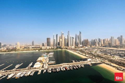 Apartment de 3 dormitorios en Dubai Harbour, UAE No. 215802 3