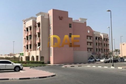 5819.261m² Building in International City, UAE No. 3646 6
