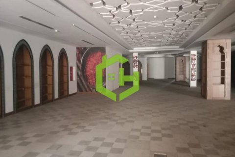 1896.1m² Shop in Al Garhoud, UAE No. 18492