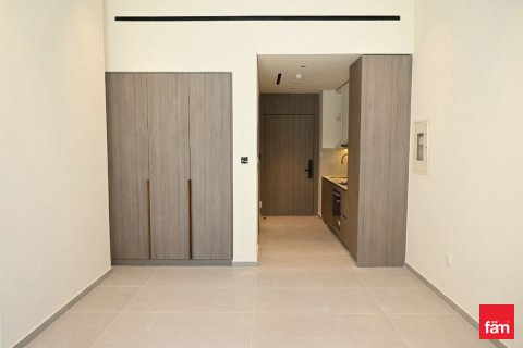 Studio Apartment in Dubai, UAE No. 169547