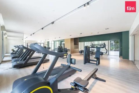 2 bedrooms Apartment in City Walk, UAE No. 213257 14
