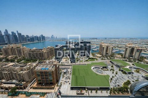 Квартира студия в The Palm Tower, ОАЭ №212166 12