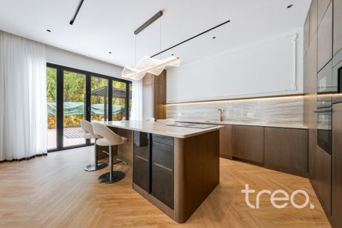 4 bedrooms Villa in Saheel, UAE No. 220752 22