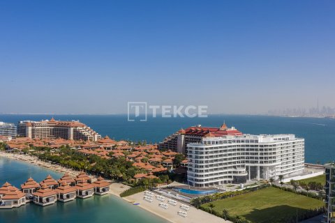 Studio Apartment in Palm Jumeirah, UAE No. 154105 10
