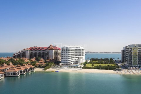 Studio Apartment in Palm Jumeirah, UAE No. 154105 11
