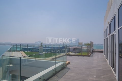 Studio Apartment in Palm Jumeirah, UAE No. 154105 9