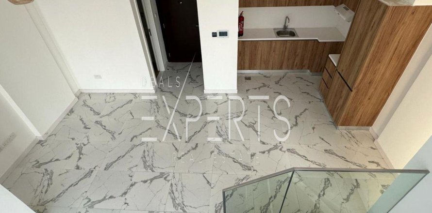 2 bedrooms Duplex in Oasis Residences, UAE No. 223975