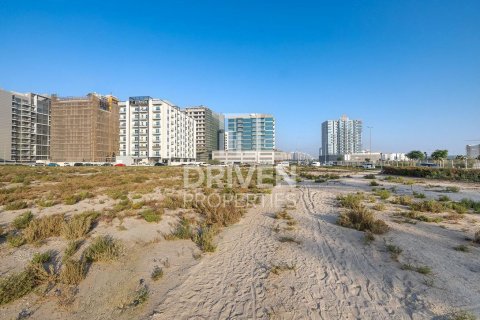 Land de 2173.93m² à Majan, UAE No. 217702 3