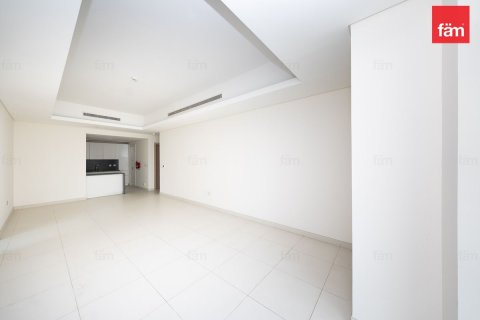 1 bedroom Apartment in Downtown Dubai (Downtown Burj Dubai), UAE No. 215845 14
