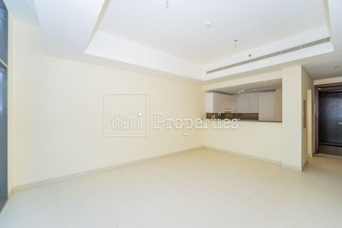1 غرف نوم شقة في وسط مدينة دبي, الإمارات العربية المتحدة رقم 215801 19