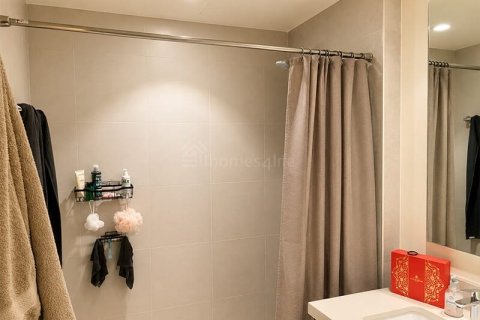 Appartement de 2 chambres à EMAAR South, UAE No. 168348 12