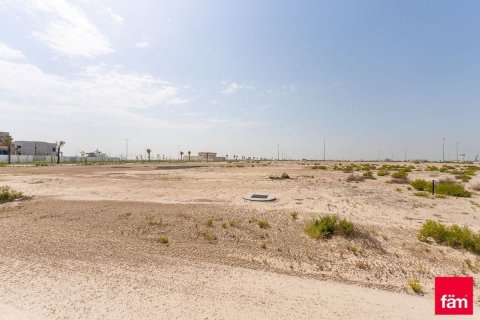 915مربع، قطعة أرض في جبل علي, الإمارات العربية المتحدة رقم 153076 9