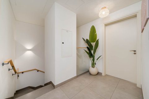 3 bedrooms Townhouse in Ruba, UAE No. 207572 6