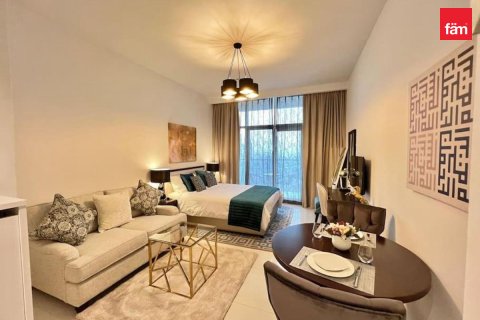 Studio Apartment in Dubai, UAE No. 213470