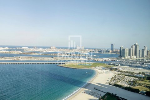 Apartamento tipo estudio Estudio en Jumeirah Beach Residence, UAE No. 202526 13