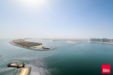 2 bedrooms Apartment in Dubai Harbour, UAE No. 213375 5