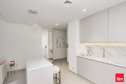 1 bedroom Apartment in Downtown Dubai (Downtown Burj Dubai), UAE No. 144663