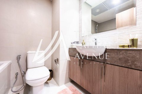Studio Apartment on the Saadiyat Island, UAE No. 213132 7