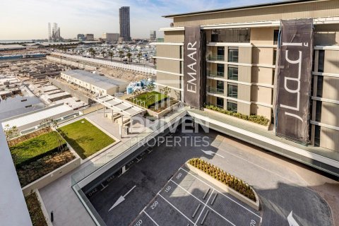 2 bedrooms Apartment in Mina Rashid, UAE No. 212793 17