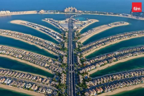 2347.7m² Land in Palm Jebel Ali, UAE No. 167454 8