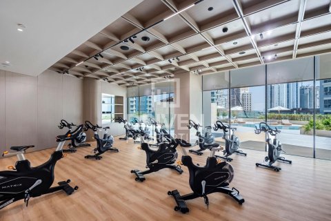 2 bedrooms Apartment in Jumeirah Village Circle, UAE No. 212558 17